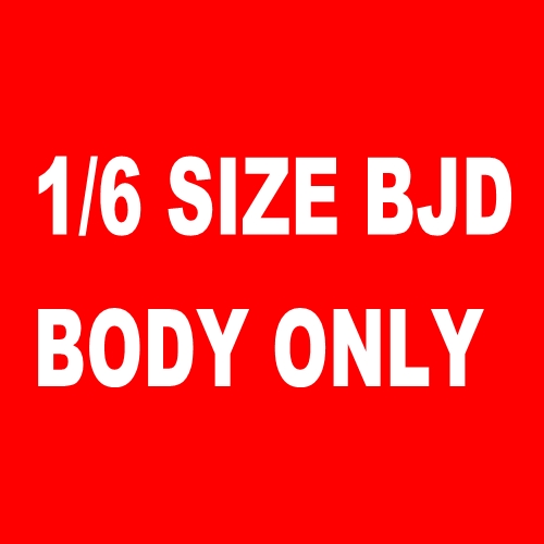 multiple 1/6 size body only bjd